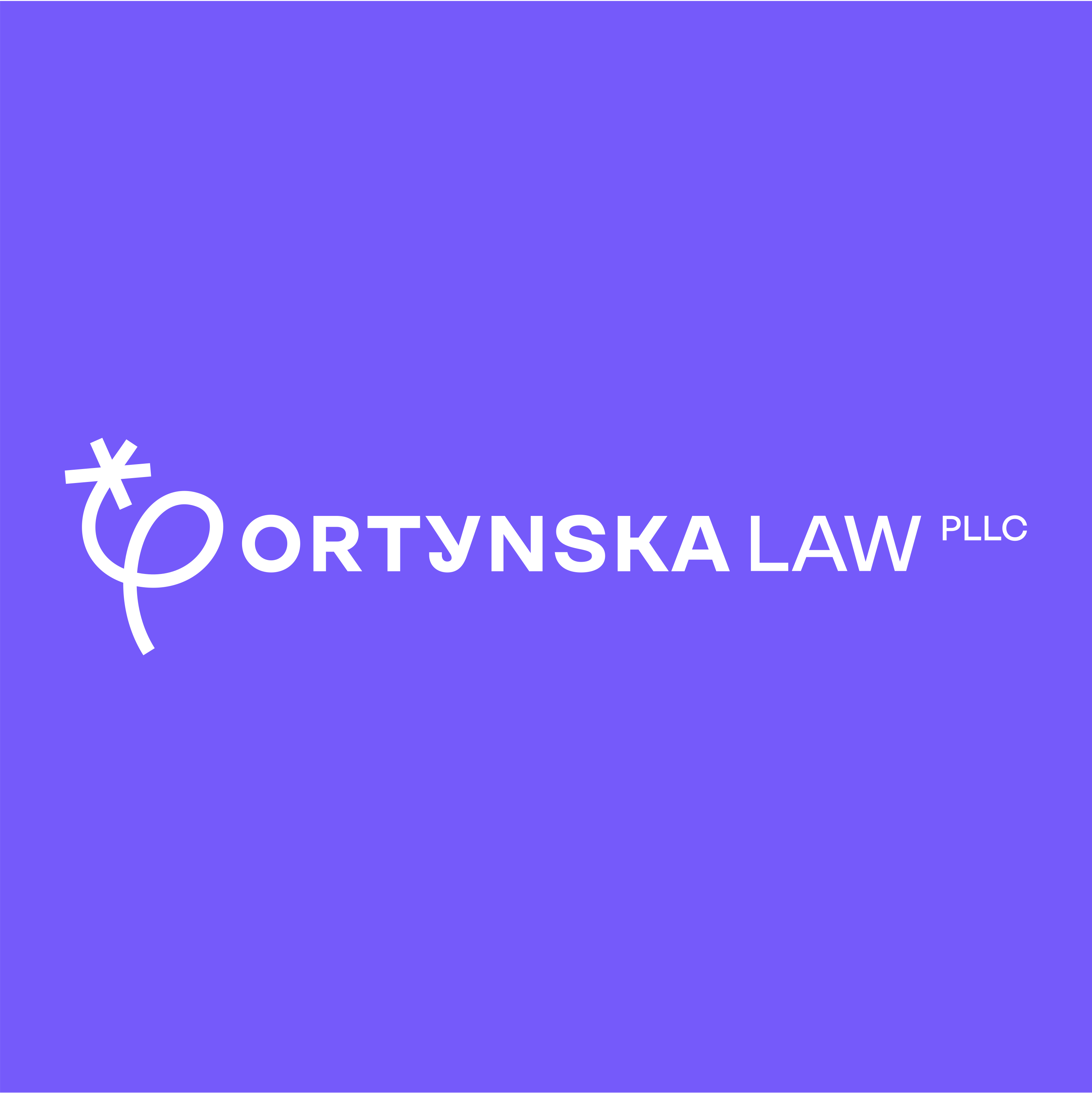Ortynska Law PLLC