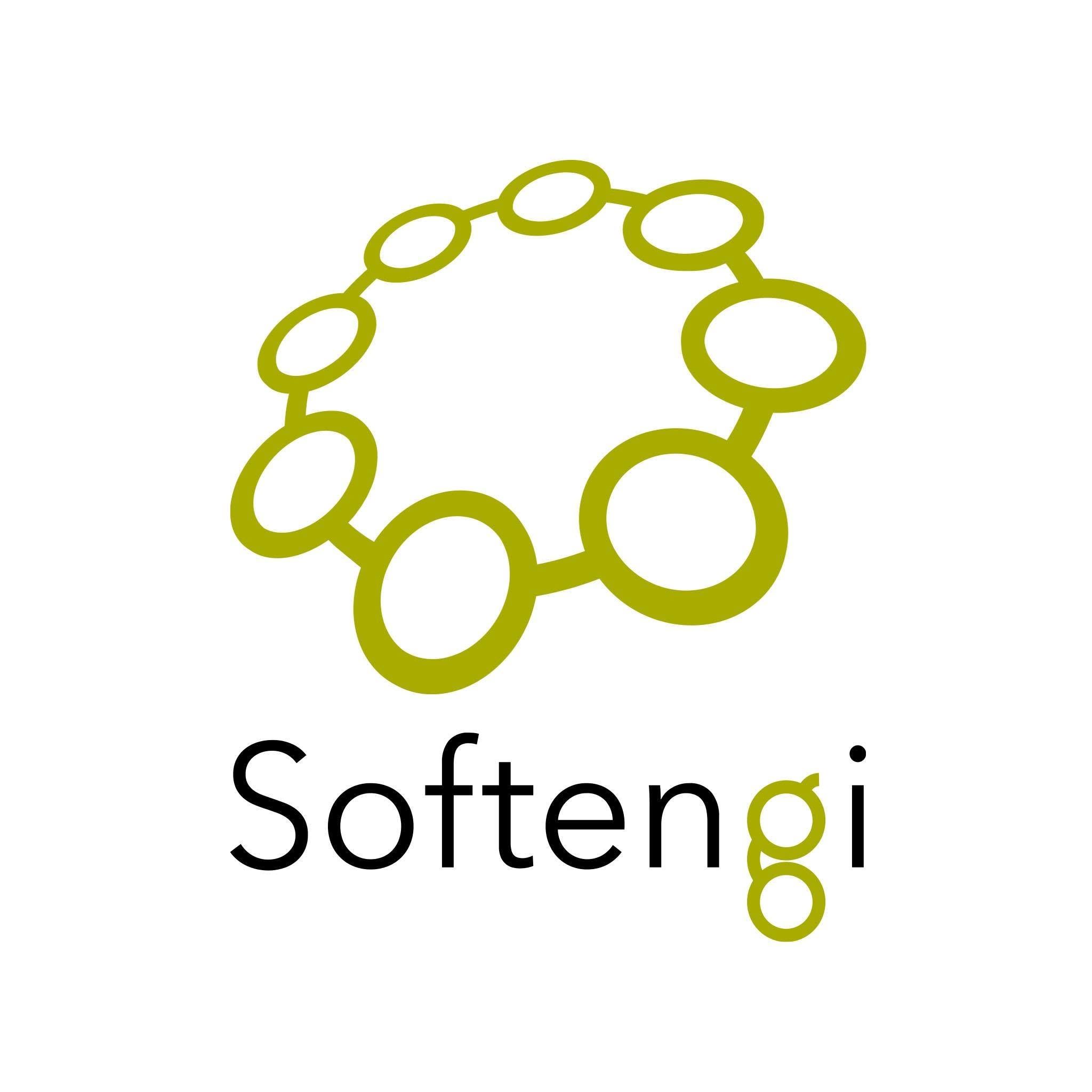 Softengi