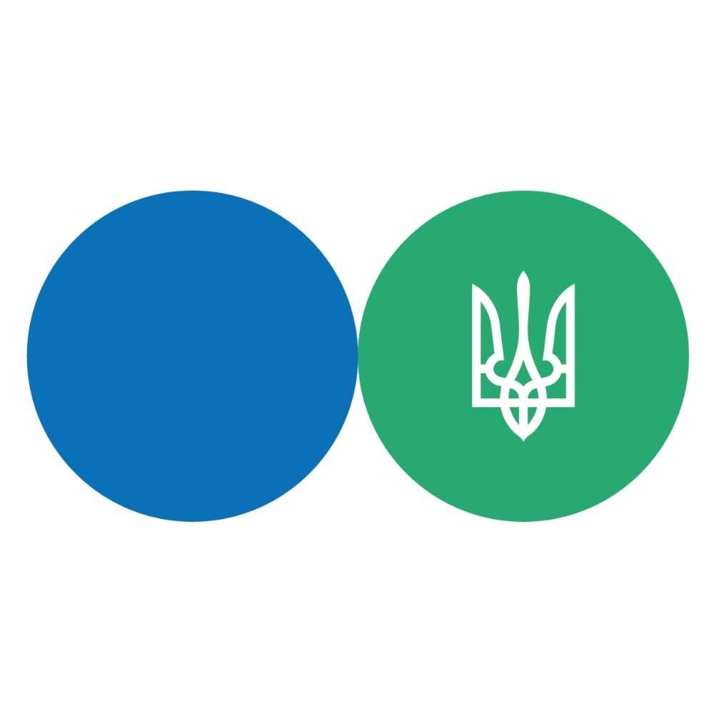 Державна податкова служба України